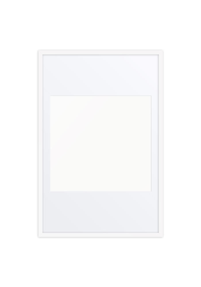 Matte Paper Framed Poster With Mat (in)
