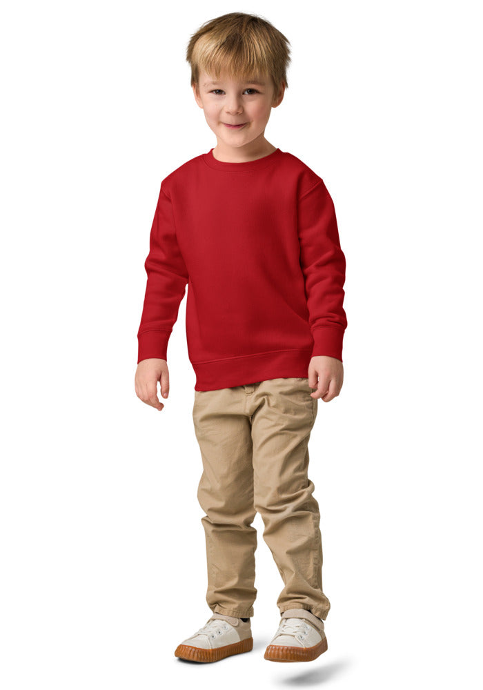 Kids Crew Neck Sweatshirt | Rabbit Skins 3317