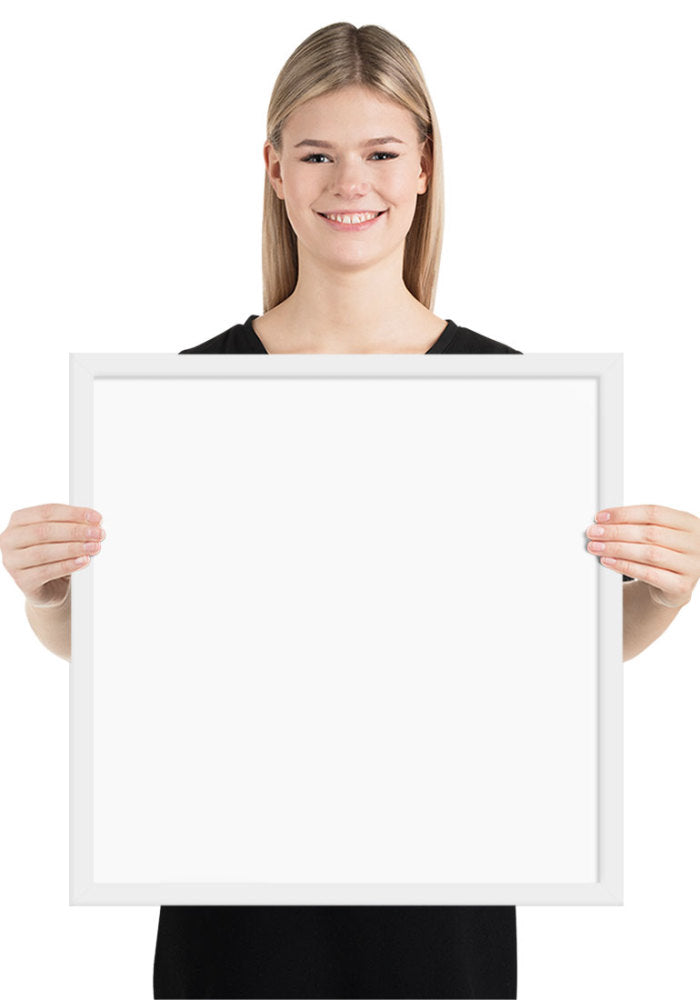 Premium Luster Photo Paper Framed Poster (in)