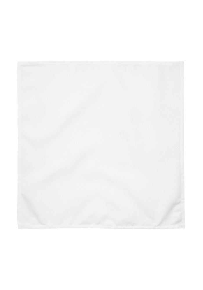 Cloth Napkin Set (4)