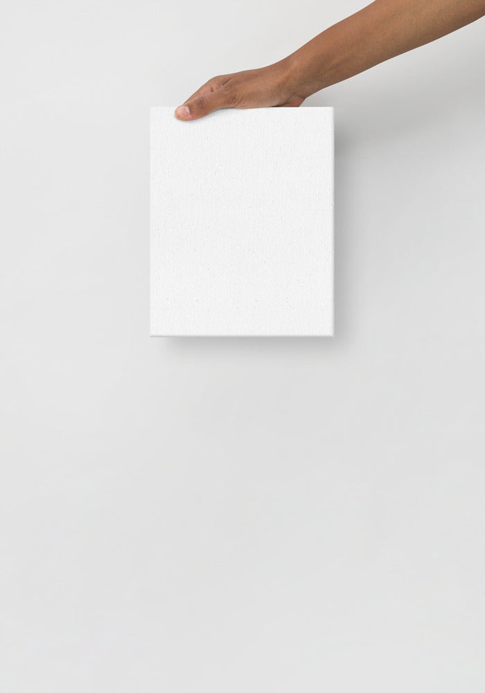 Thin Canvas (in)