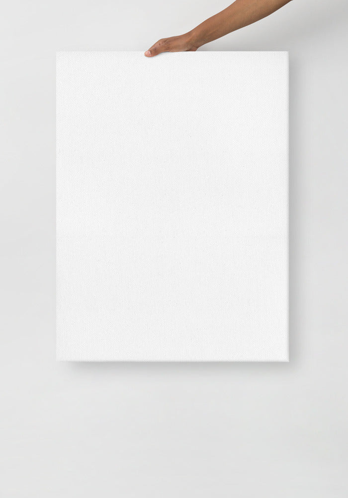 Thin Canvas (in)