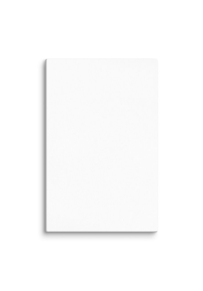 Canvas (in)