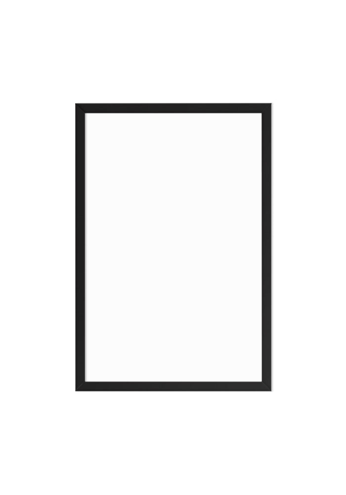Enhanced Matte Paper Framed Poster (in)