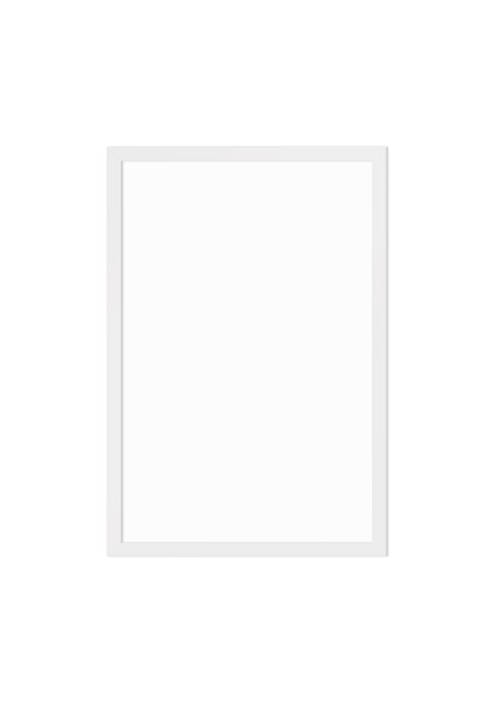 Enhanced Matte Paper Framed Poster (in)