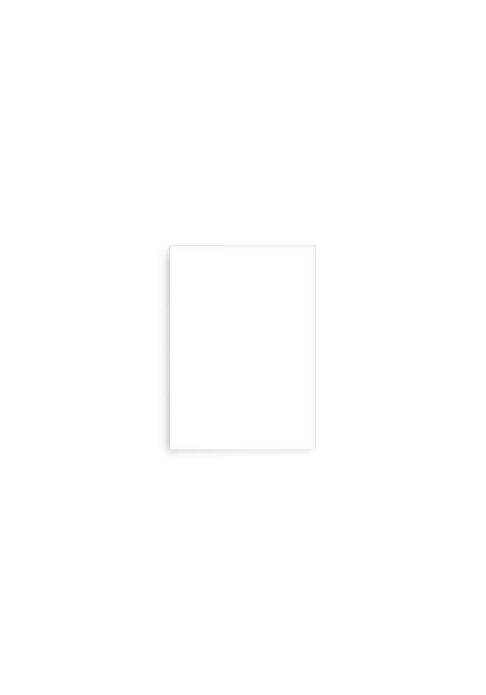 Premium Luster Photo Paper Poster (in)