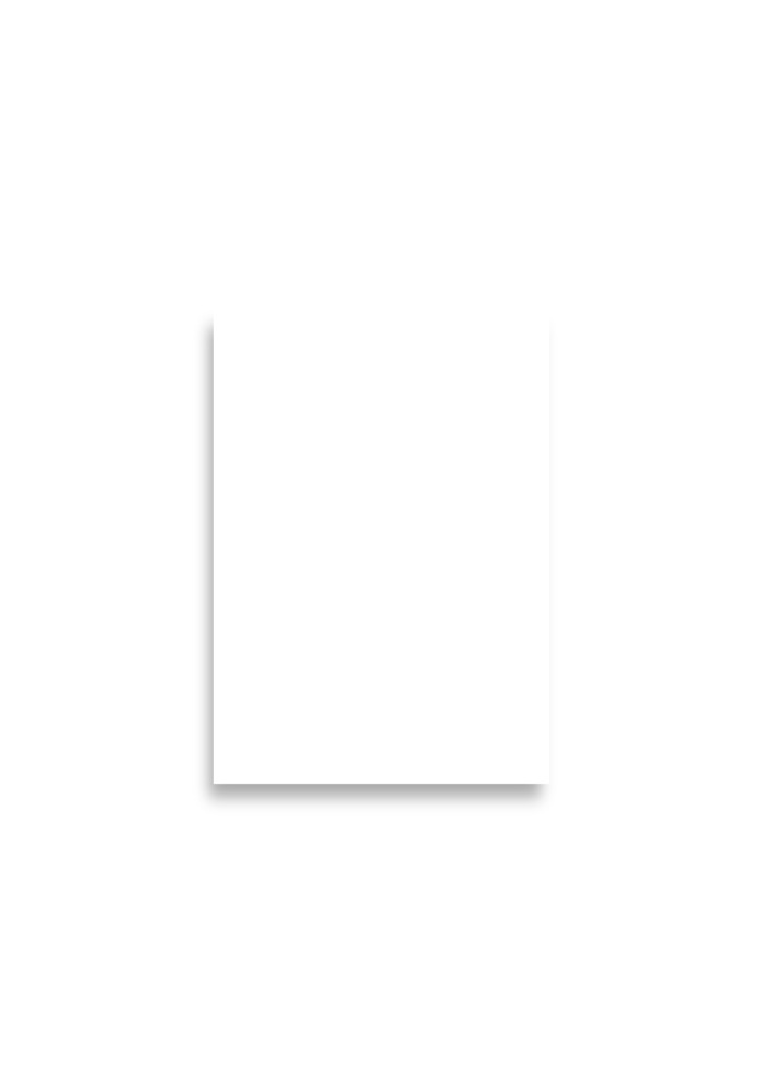 Premium Luster Photo Paper Poster (in)