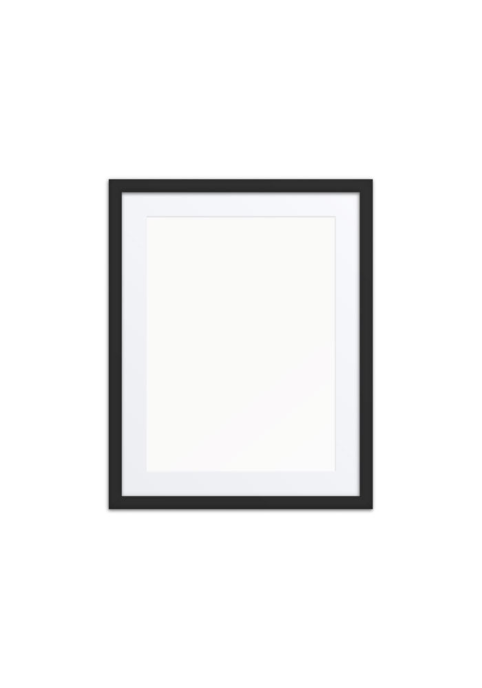 Matte Paper Framed Poster With Mat (in)