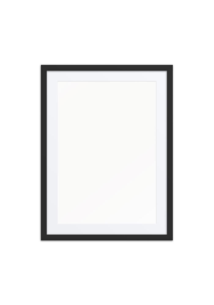 Matte Paper Framed Poster With Mat (in)