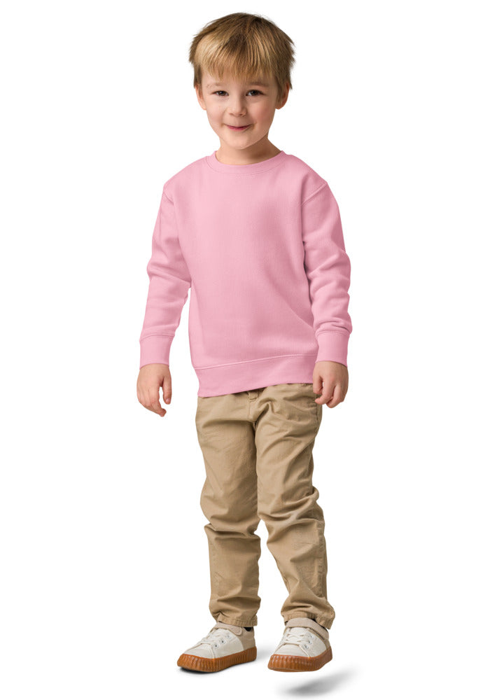 Kids Crew Neck Sweatshirt | Rabbit Skins 3317
