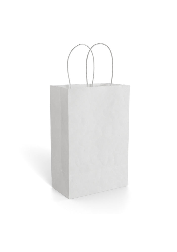 Paper Gift Bag