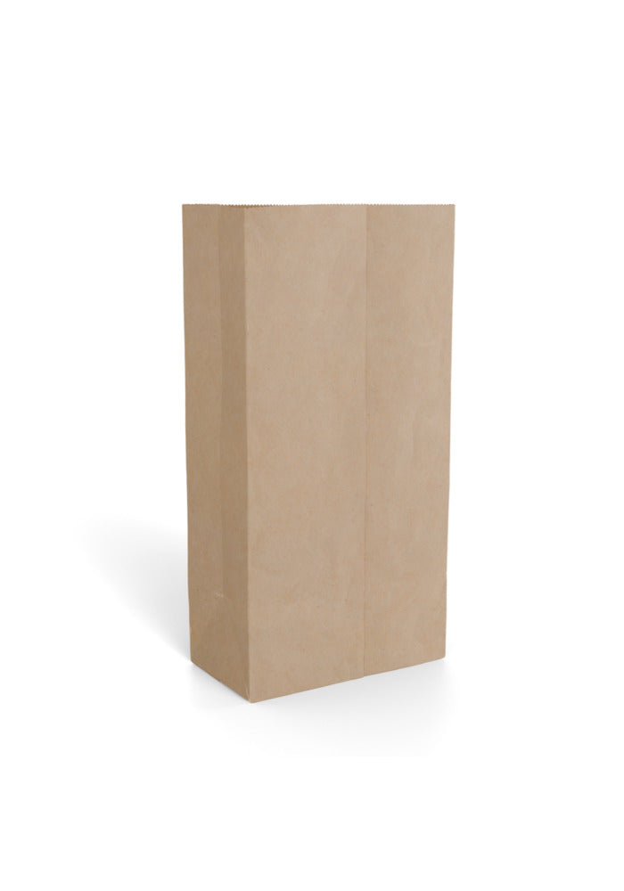 Paper Gift Bag