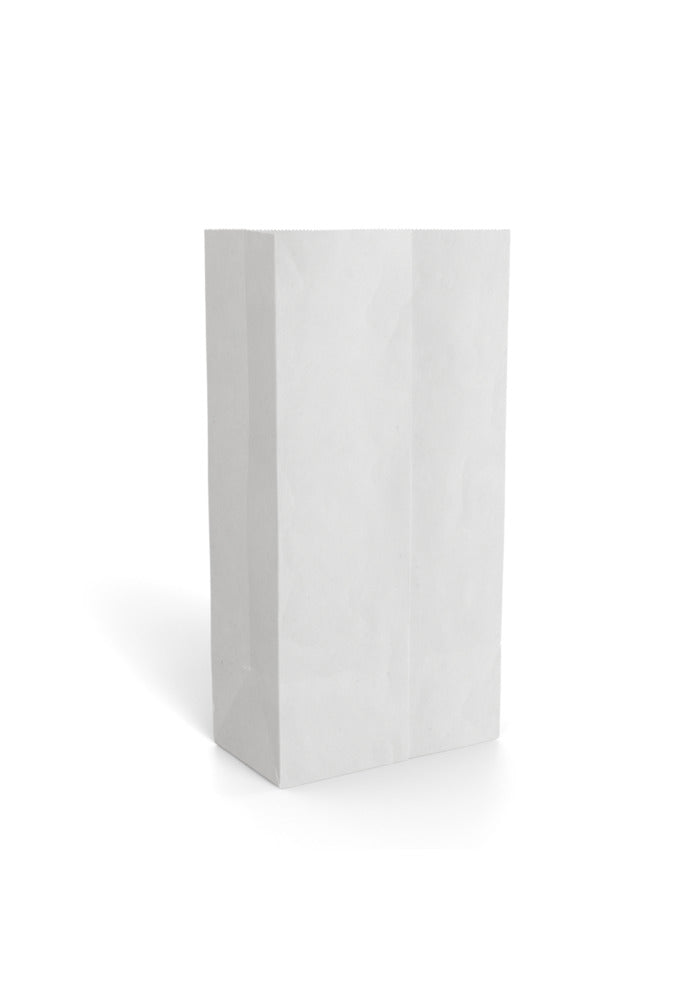 Paper Gift Bag