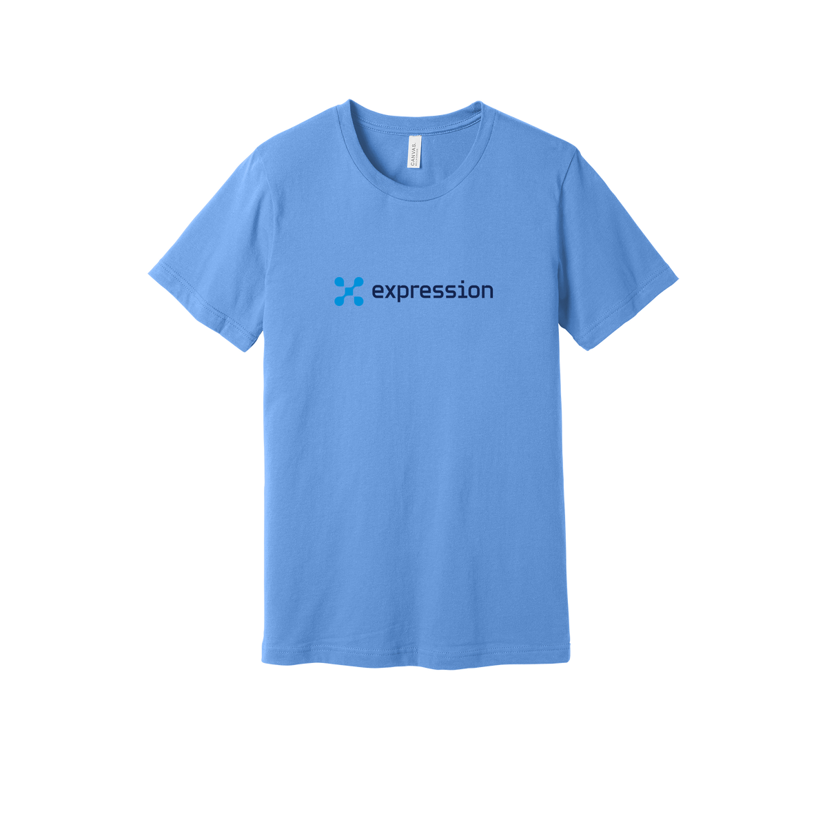 expr-everyday-essentials-short-sleeve-tee-dtf-front-BC3001-carolinablue-flat-front