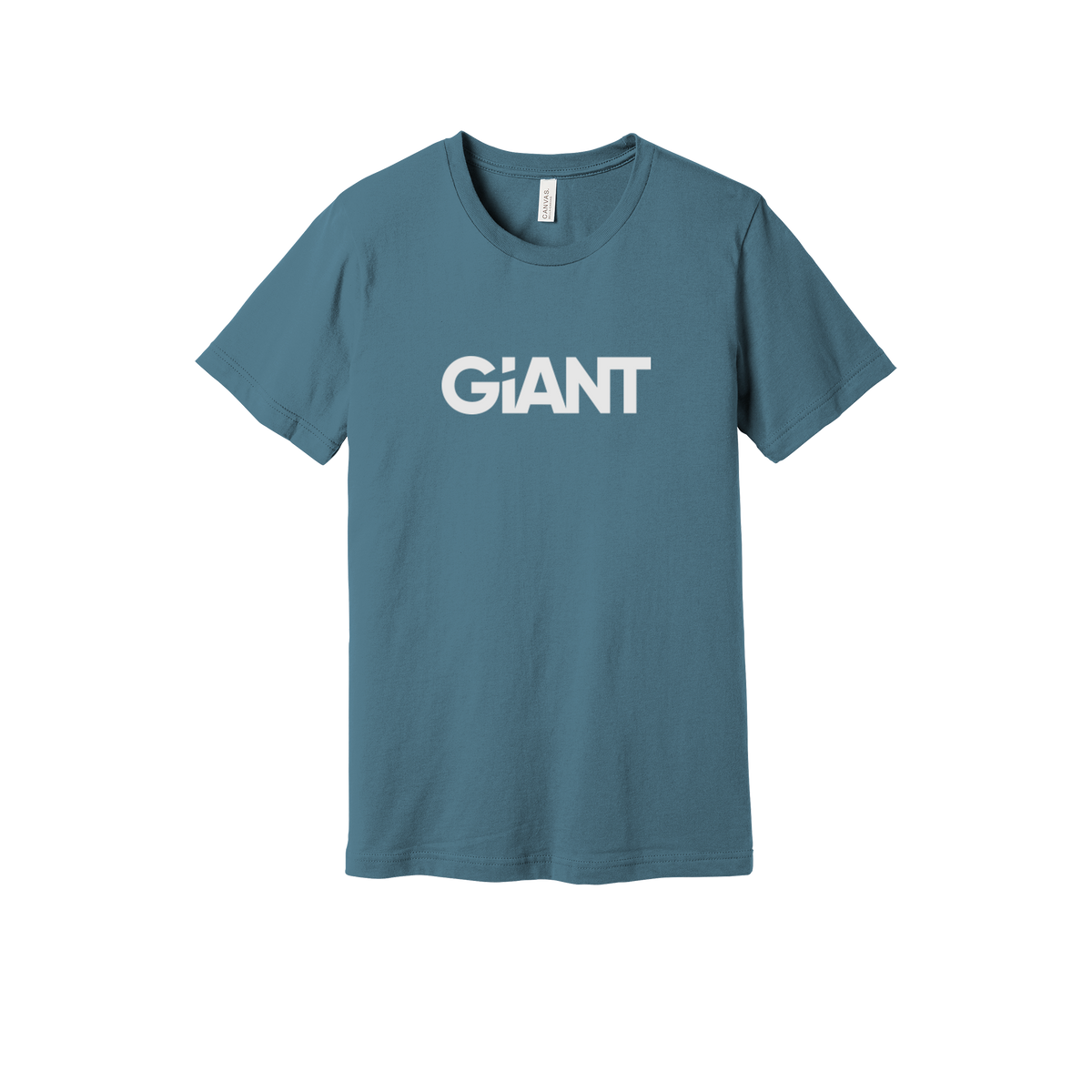 giantworldwide-everyday-essentials-short-sleeve-tee-dtf-front-BC3001-steelblue-flat-front