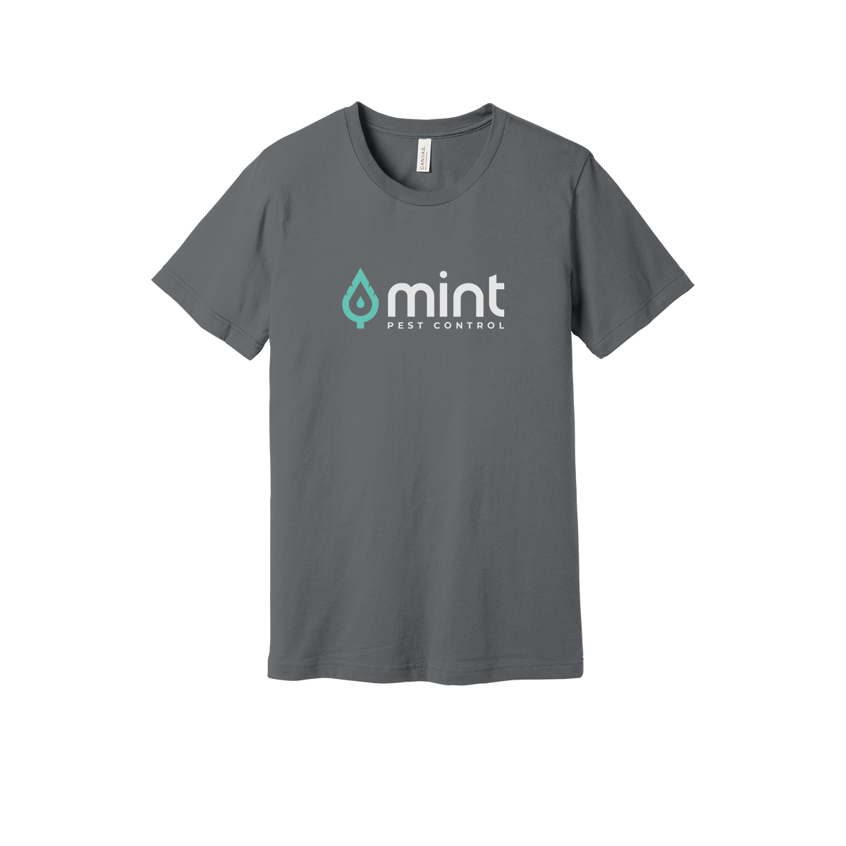 mintpest-everyday-essentials-short-sleeve-tee-dtf-front-BC3001-storm-flat-front