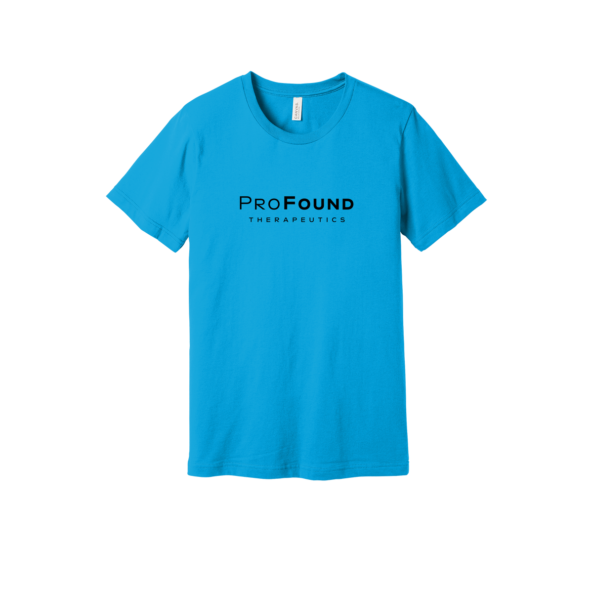 profoundtx-everyday-essentials-short-sleeve-tee-dtf-front-BC3001-turquoise-flat-front